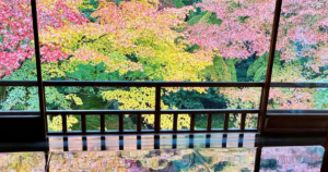 投稿についてもっと詳しく 京都瑠璃光院の紅葉